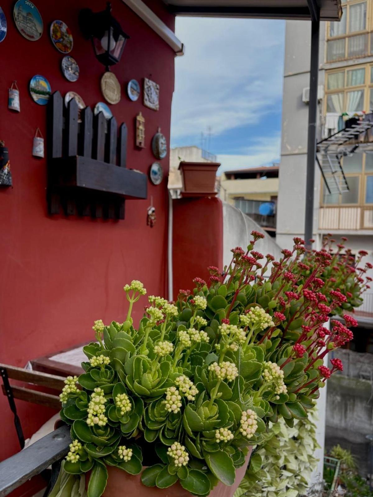 Apartmán Roc House CTA Exteriér fotografie